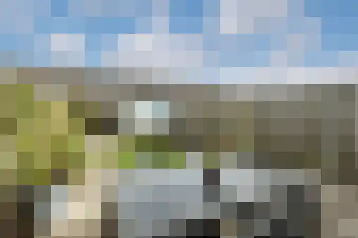 Reigersweide 65 Weesp thumbnail 34