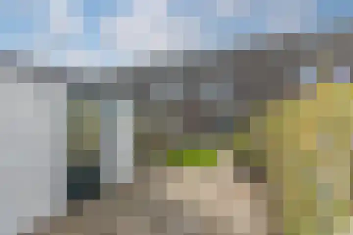 Reigersweide 65 Weesp thumbnail 35