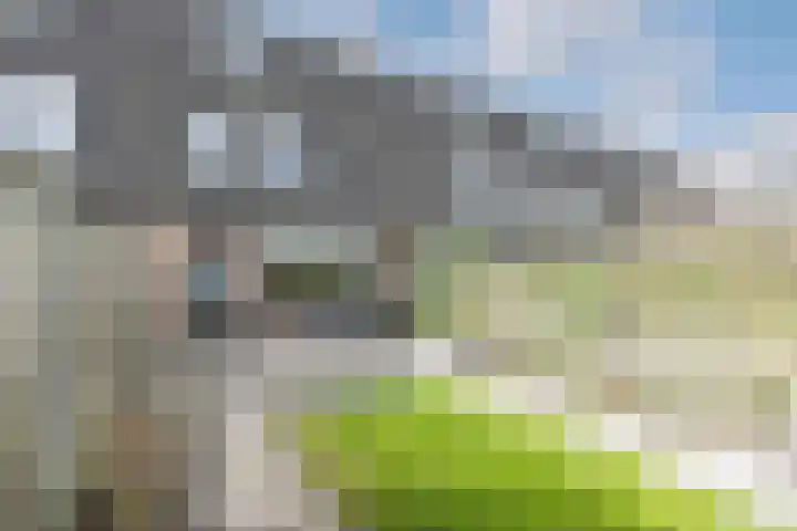Reigersweide 65 Weesp thumbnail 4