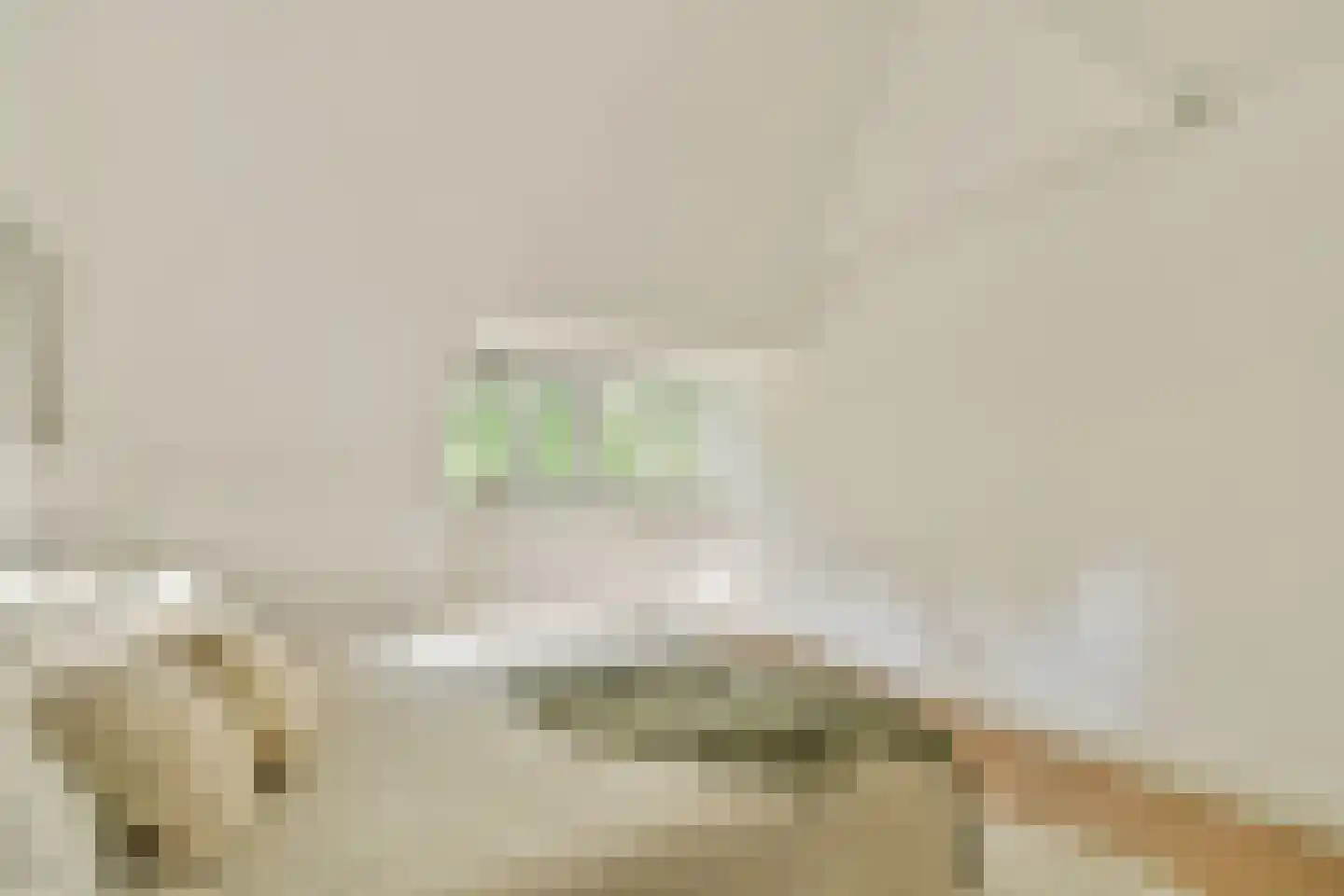Reigerweg 1 Amsterdam thumbnail 14