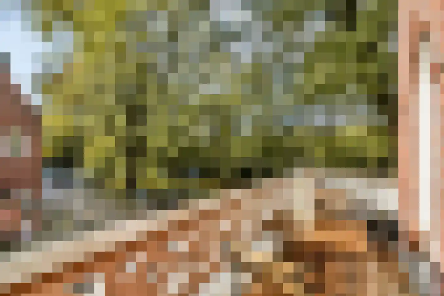 Reigerweg 1 Amsterdam thumbnail 9