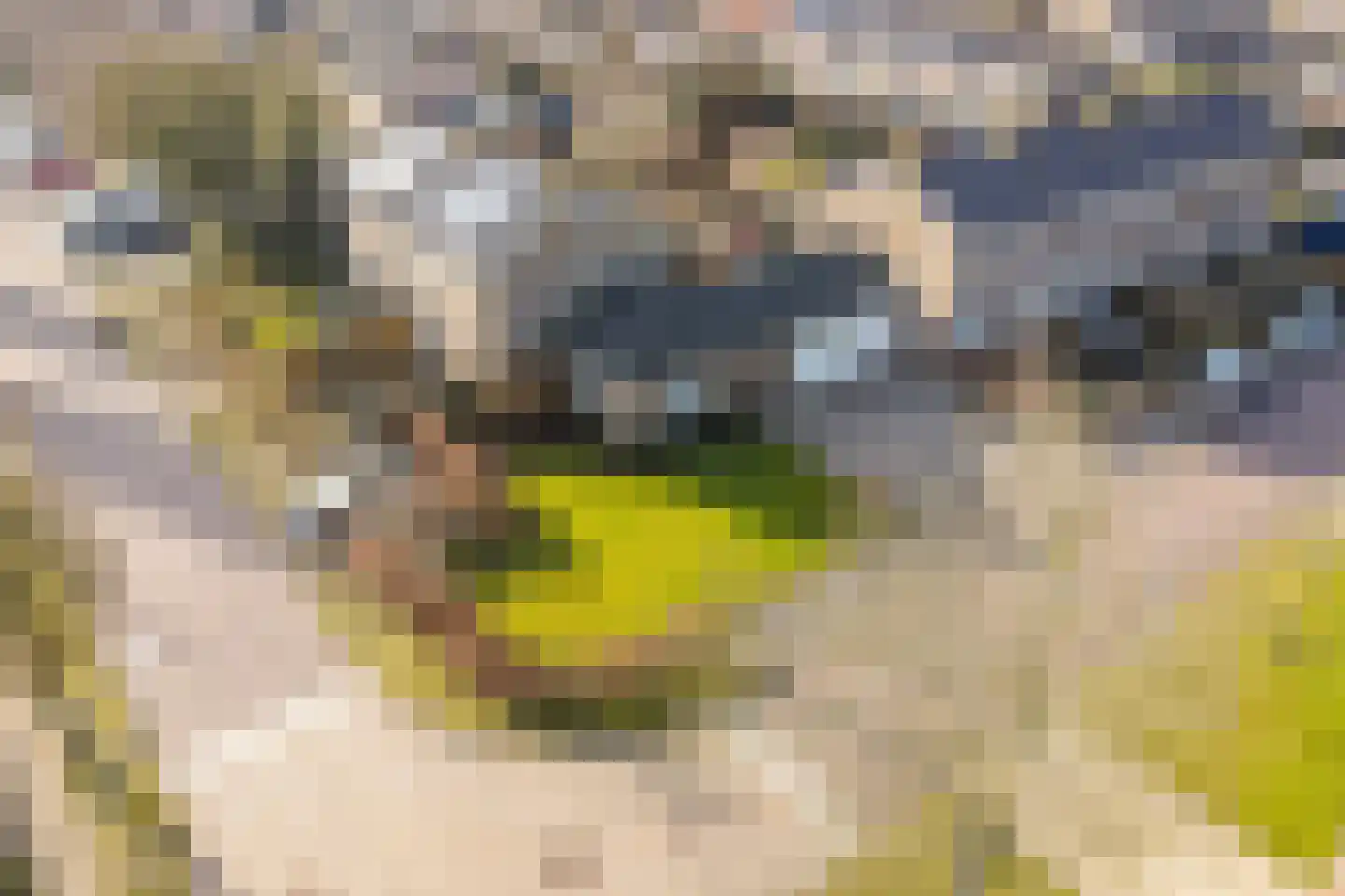 Reigerweg 17 Groet thumbnail 19
