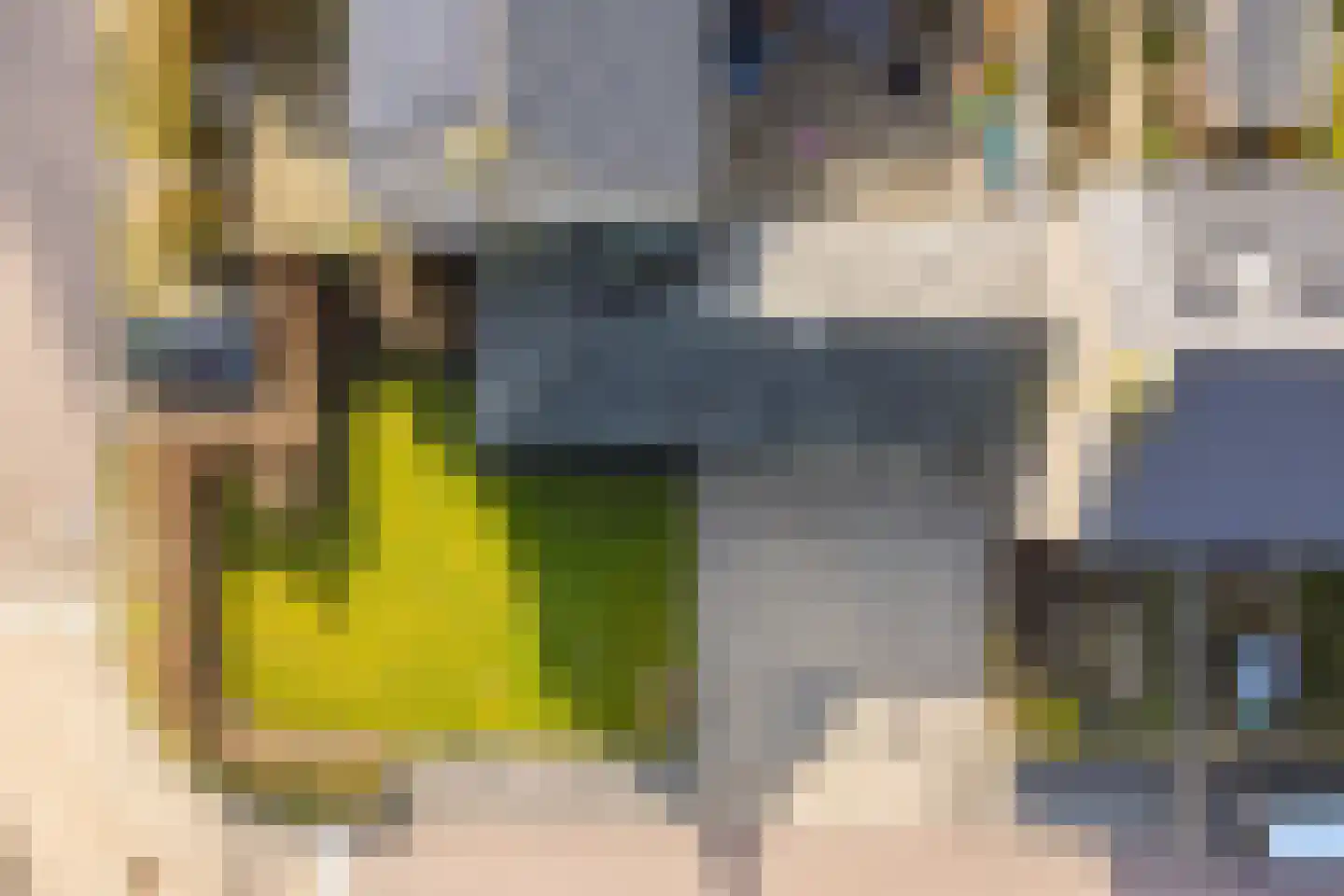 Reigerweg 17 Groet thumbnail 20