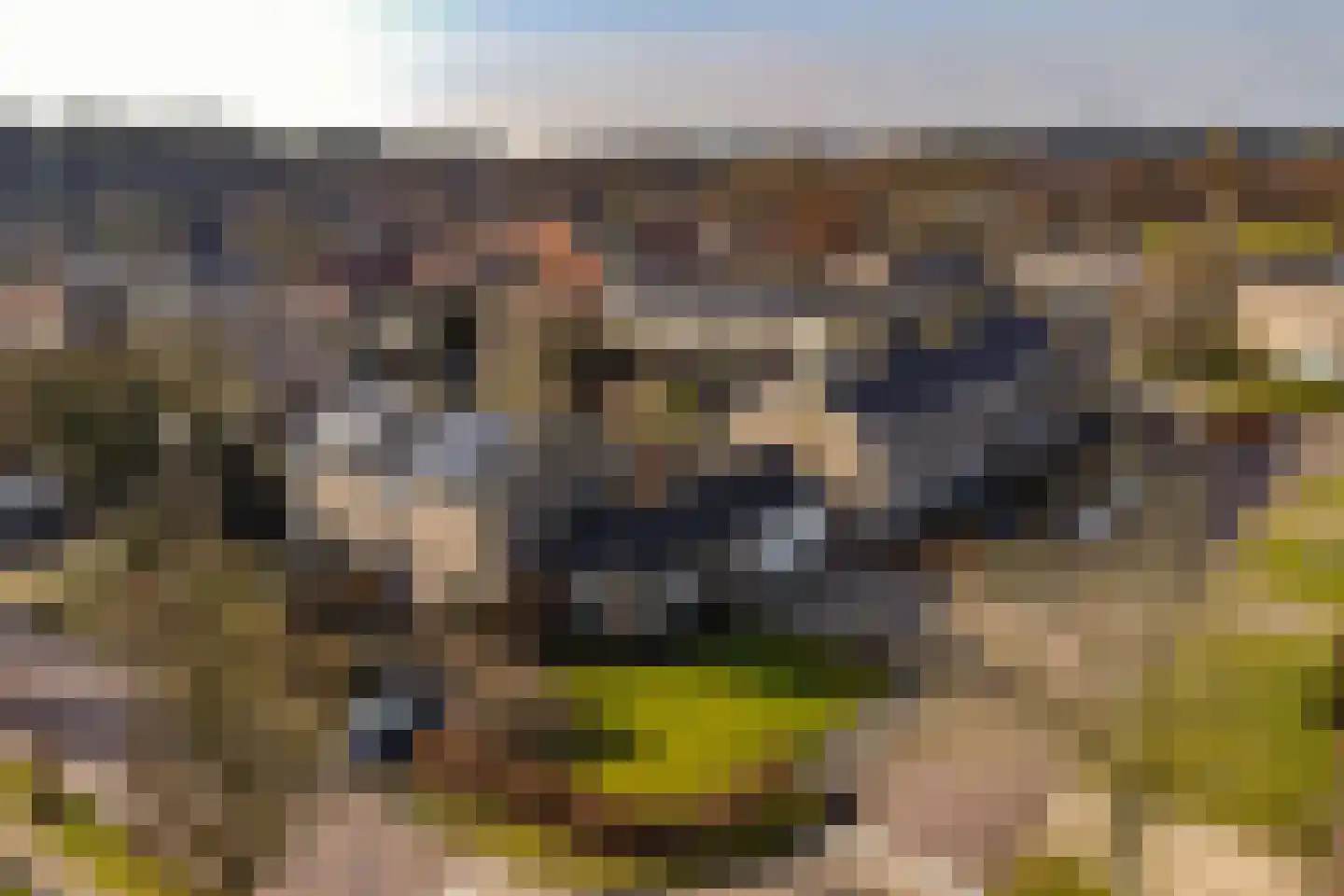 Reigerweg 17 Groet thumbnail 21