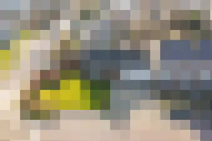 Reigerweg 17 Groet thumbnail 25