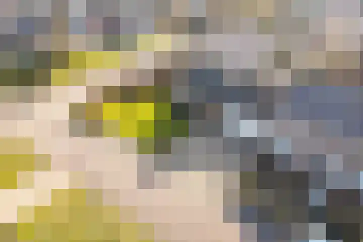 Reigerweg 17 Groet thumbnail 26
