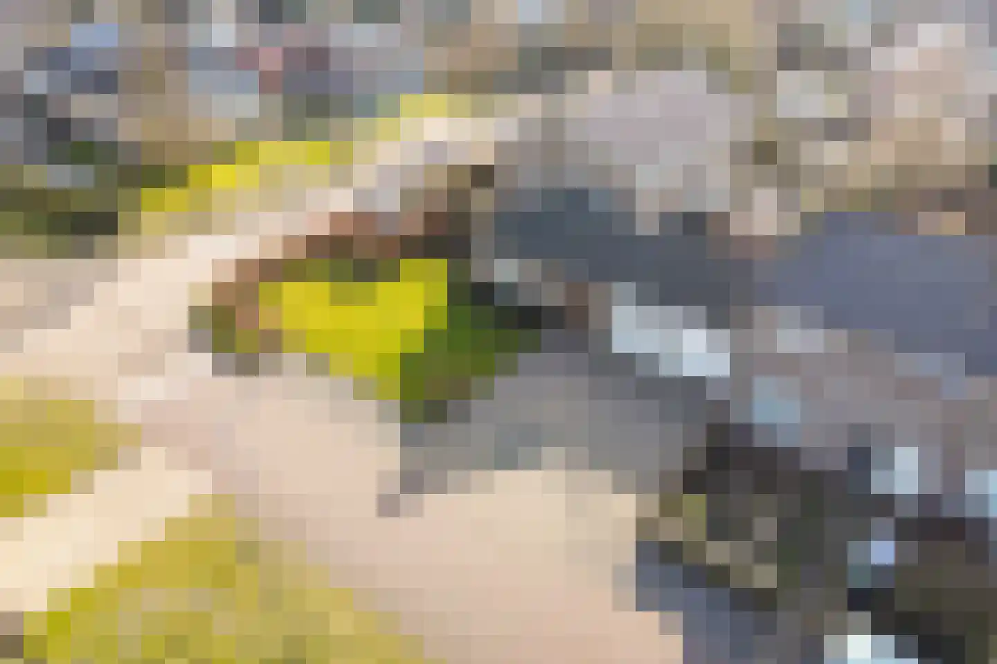 Reigerweg 17 Groet thumbnail 26