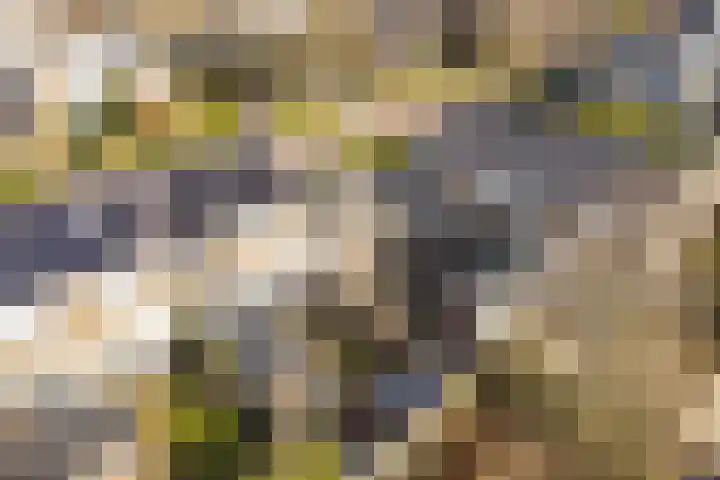 Reigerweg 17 Groet thumbnail 28