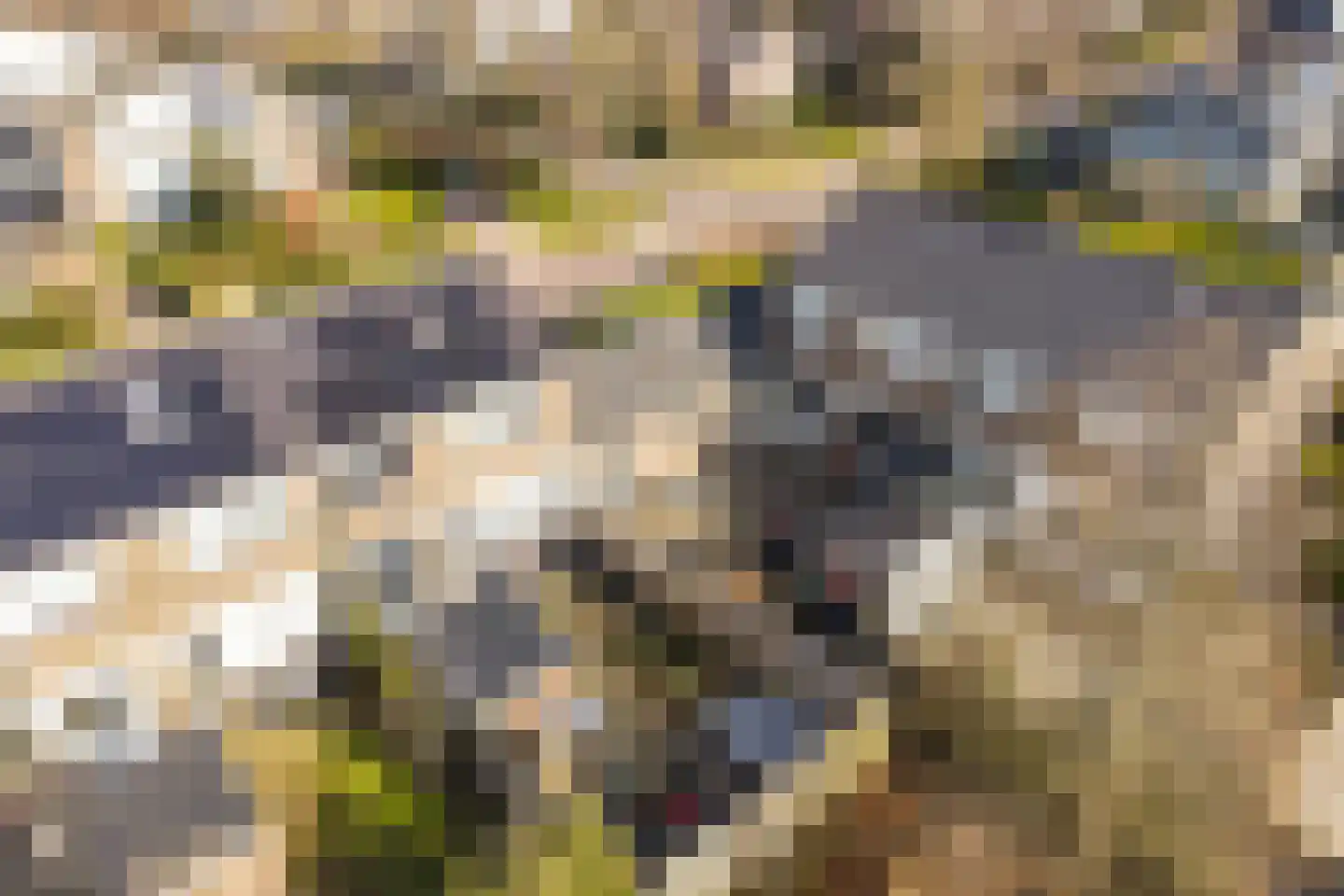 Reigerweg 17 Groet thumbnail 28