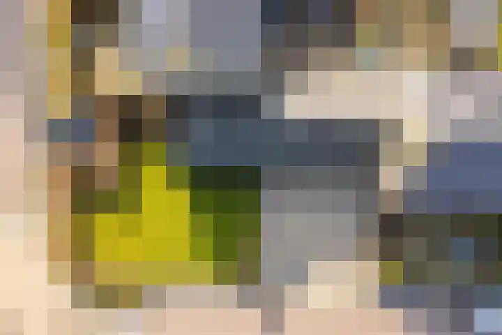 Reigerweg 17 Groet thumbnail 29