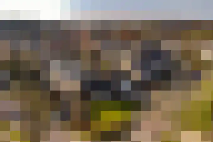 Reigerweg 17 Groet thumbnail 30