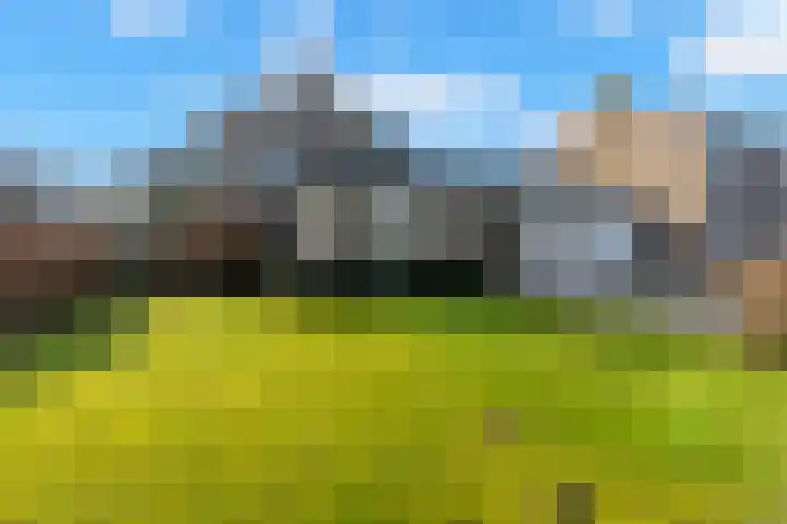 Reigerweg 17 Groet thumbnail 7