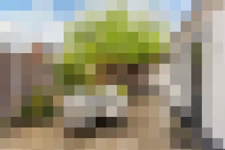 Reigerweg 17 Hengelo thumbnail 31