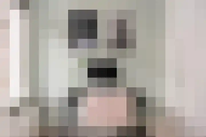 Reigerweg 17 Hengelo thumbnail 9