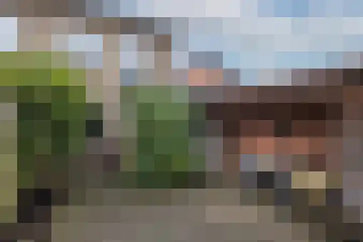 Reigerweg 23 Hengelo thumbnail 28