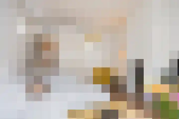 Reigerweg 23 Hengelo thumbnail 8