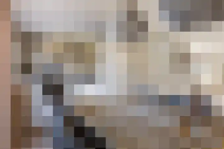 Reigerweide 28 Renswoude thumbnail 11