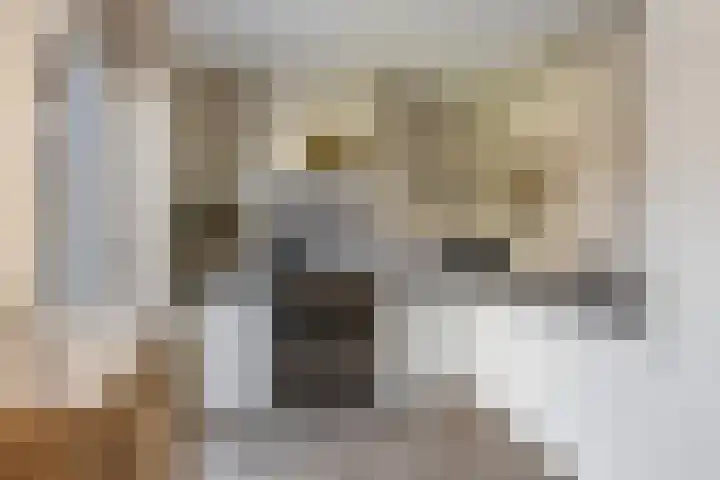 Reigerweide 28 Renswoude thumbnail 12