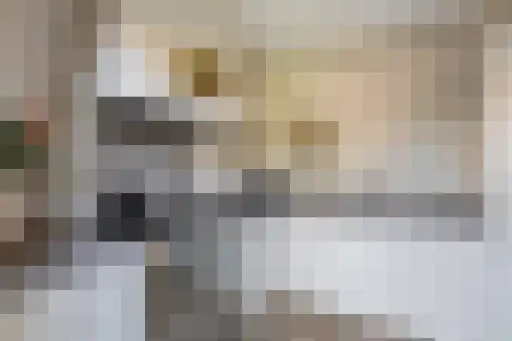 Reigerweide 28 Renswoude thumbnail 13