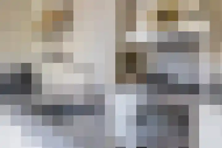 Reigerweide 28 Renswoude thumbnail 14