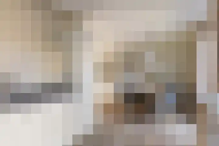 Reigerweide 28 Renswoude thumbnail 15
