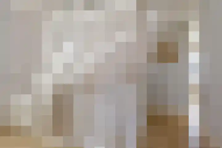 Reigerweide 28 Renswoude thumbnail 20