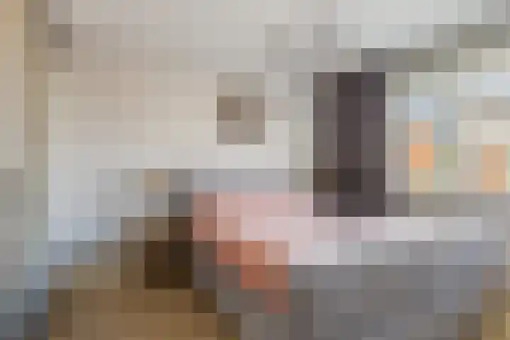 Reigerweide 28 Renswoude thumbnail 22