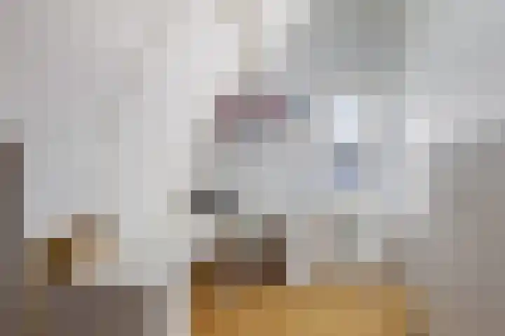 Reigerweide 28 Renswoude thumbnail 33