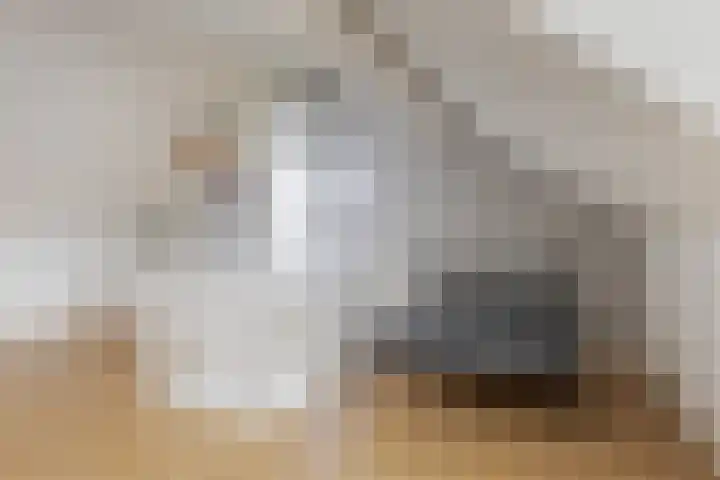 Reigerweide 28 Renswoude thumbnail 35