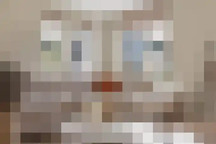 Reigerweide 28 Renswoude thumbnail 4
