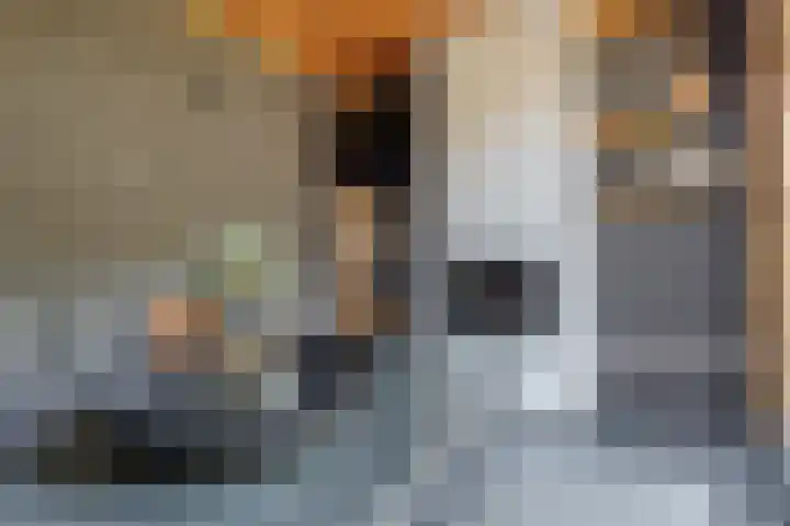Reigerweide 28 Renswoude thumbnail 43