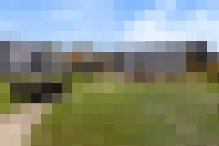 Reigerweide 28 Renswoude thumbnail 55