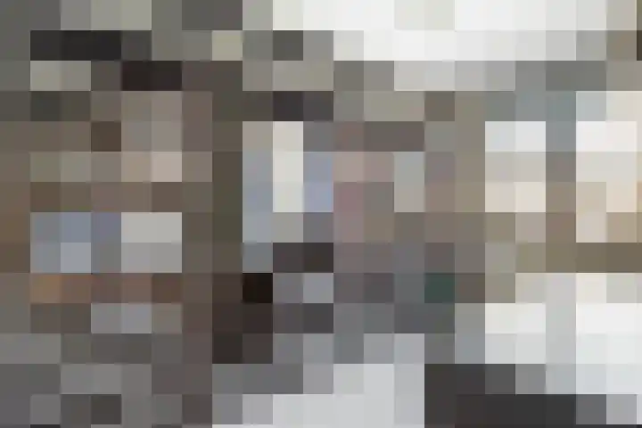 Reigerweide 48 Renswoude thumbnail 17