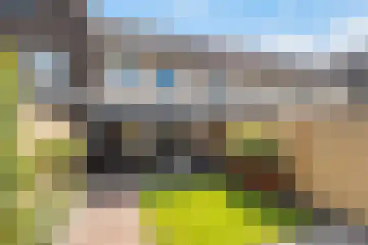 Reigerweide 48 Renswoude thumbnail 28