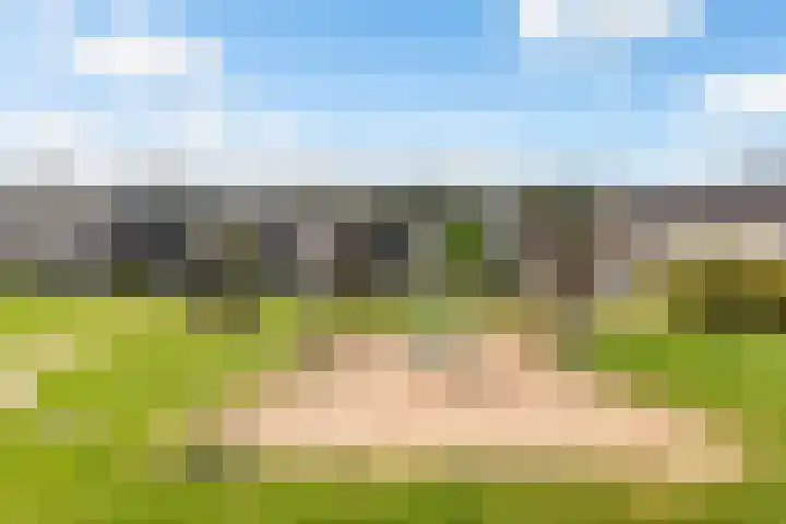 Reigerweide 48 Renswoude thumbnail 32