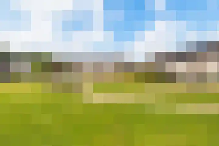 Reigerweide 48 Renswoude thumbnail 33