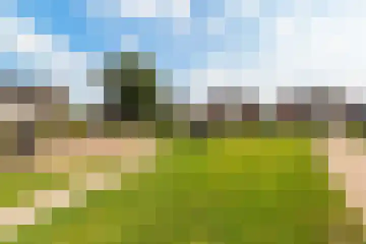 Reigerweide 48 Renswoude thumbnail 34
