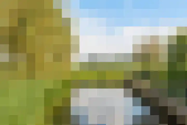 Reigerweide 48 Renswoude thumbnail 35