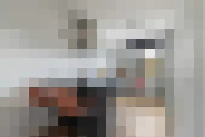 Reigerweide 48 Renswoude thumbnail 8