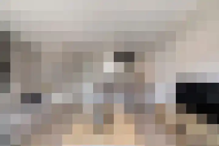 Reigerweide 50 Renswoude thumbnail 13