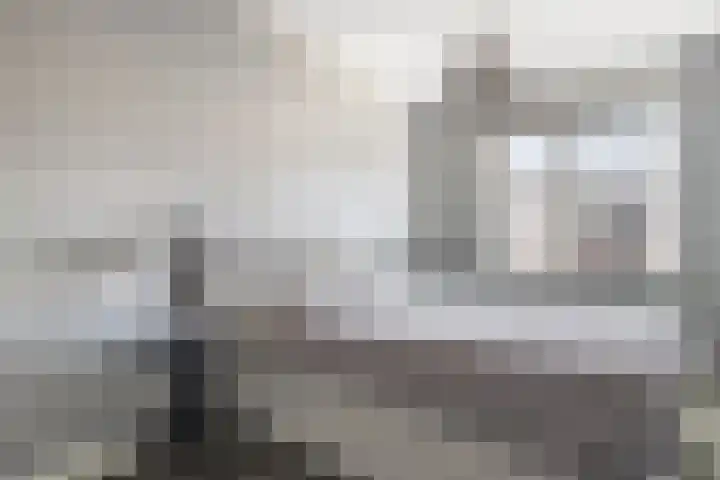 Reigerweide 50 Renswoude thumbnail 20