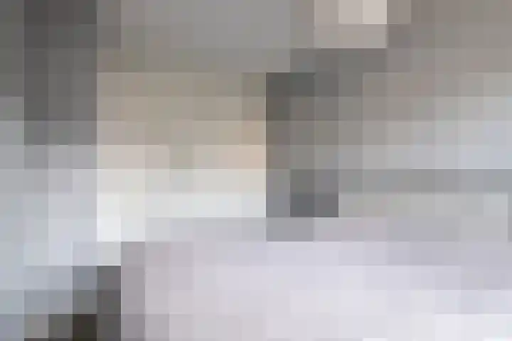 Reigerweide 50 Renswoude thumbnail 22