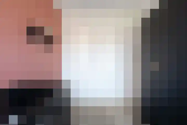 Reigerweide 50 Renswoude thumbnail 28