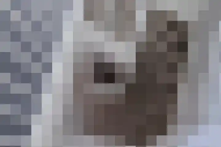 Reigerweide 50 Renswoude thumbnail 29