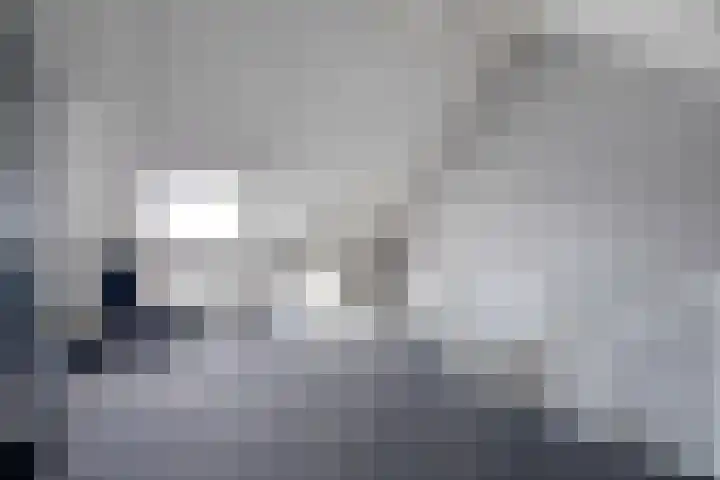 Reigerweide 50 Renswoude thumbnail 31
