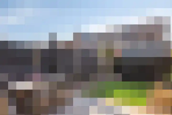 Reigerweide 50 Renswoude thumbnail 33