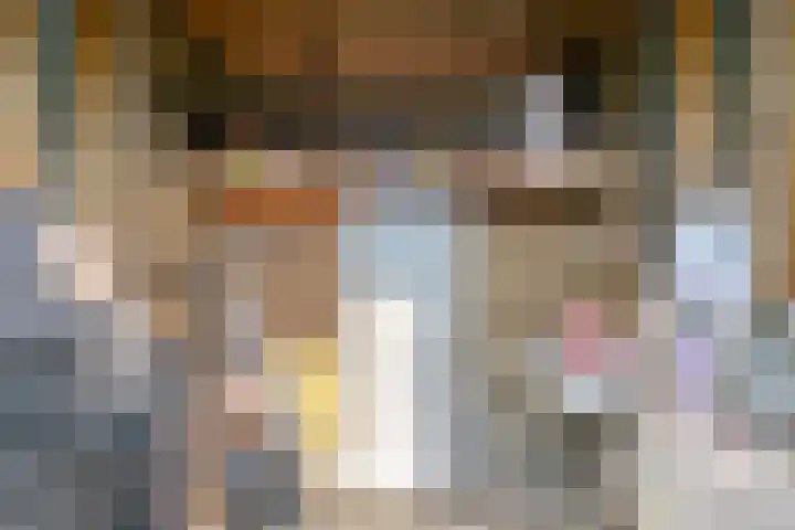 Reigerweide 50 Renswoude thumbnail 34