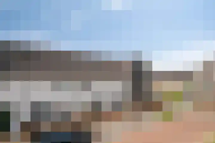 Reigerweide 50 Renswoude thumbnail 37