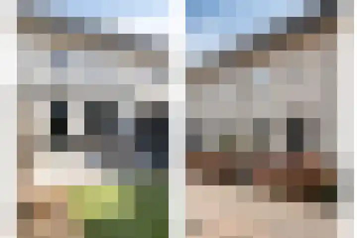 Reigerweide 50 Renswoude thumbnail 4