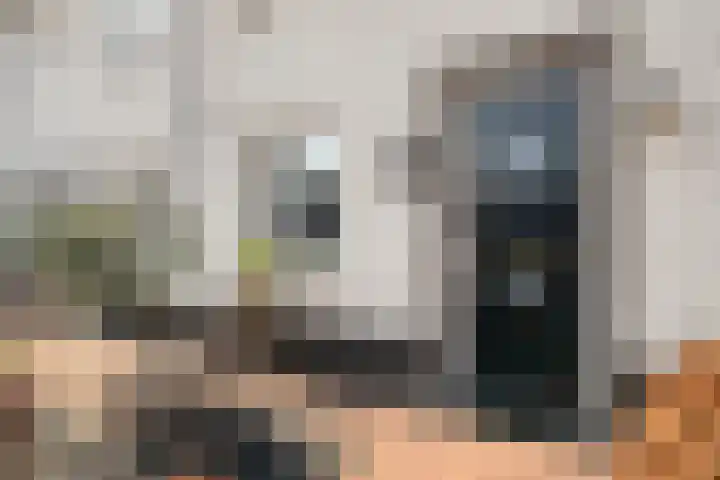 Reigerweide 50 Renswoude thumbnail 5